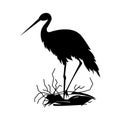 Silhouette of a bird stork in the nest isolated on the white background. Royalty Free Stock Photo